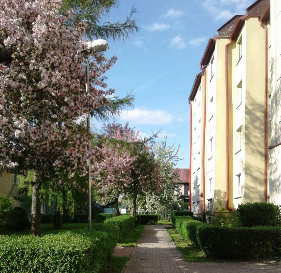 Apartament Jasminowy Apartment Kudowa Zdroj Exterior photo